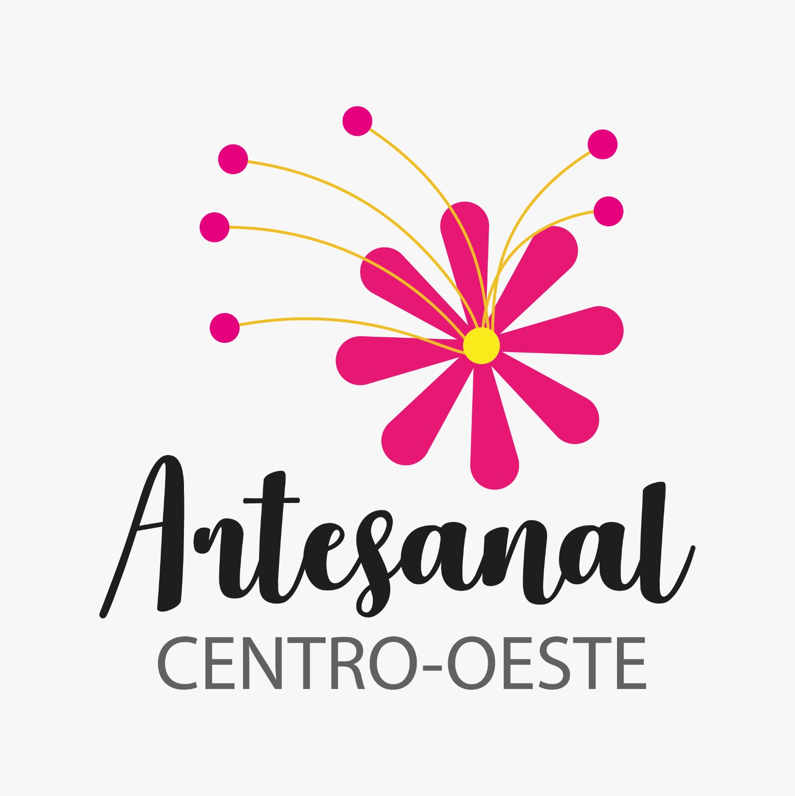 Artesanal Centro Oeste 2025